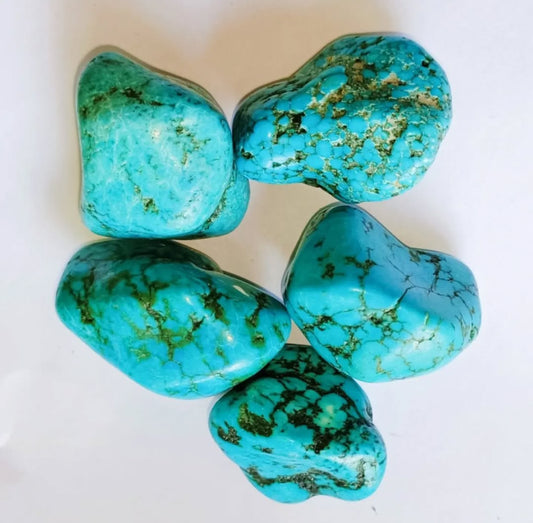 Blue Howlite/Turquenite