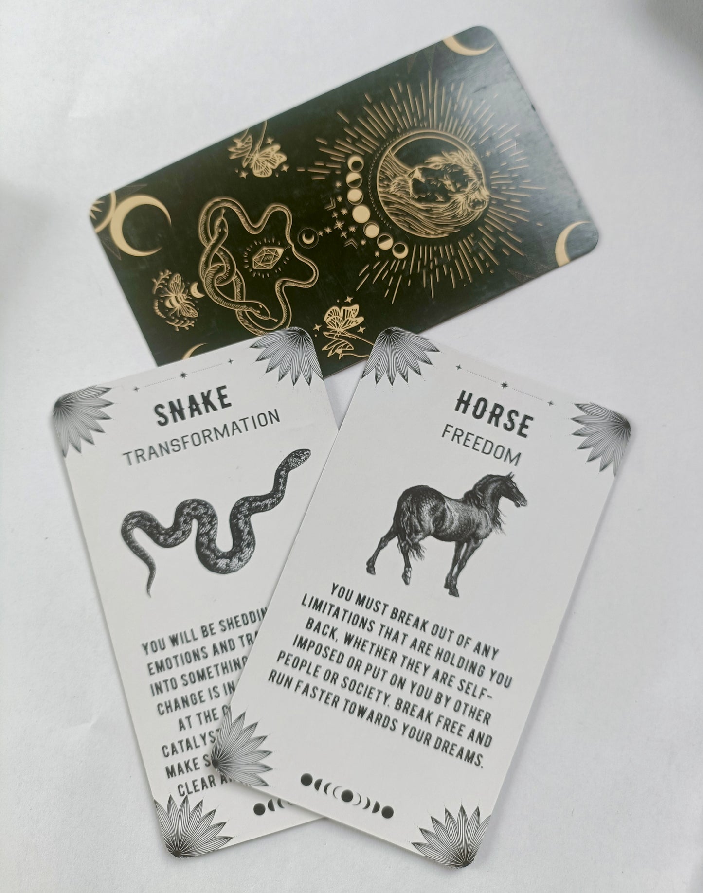 Spirit Animal Oracle Deck